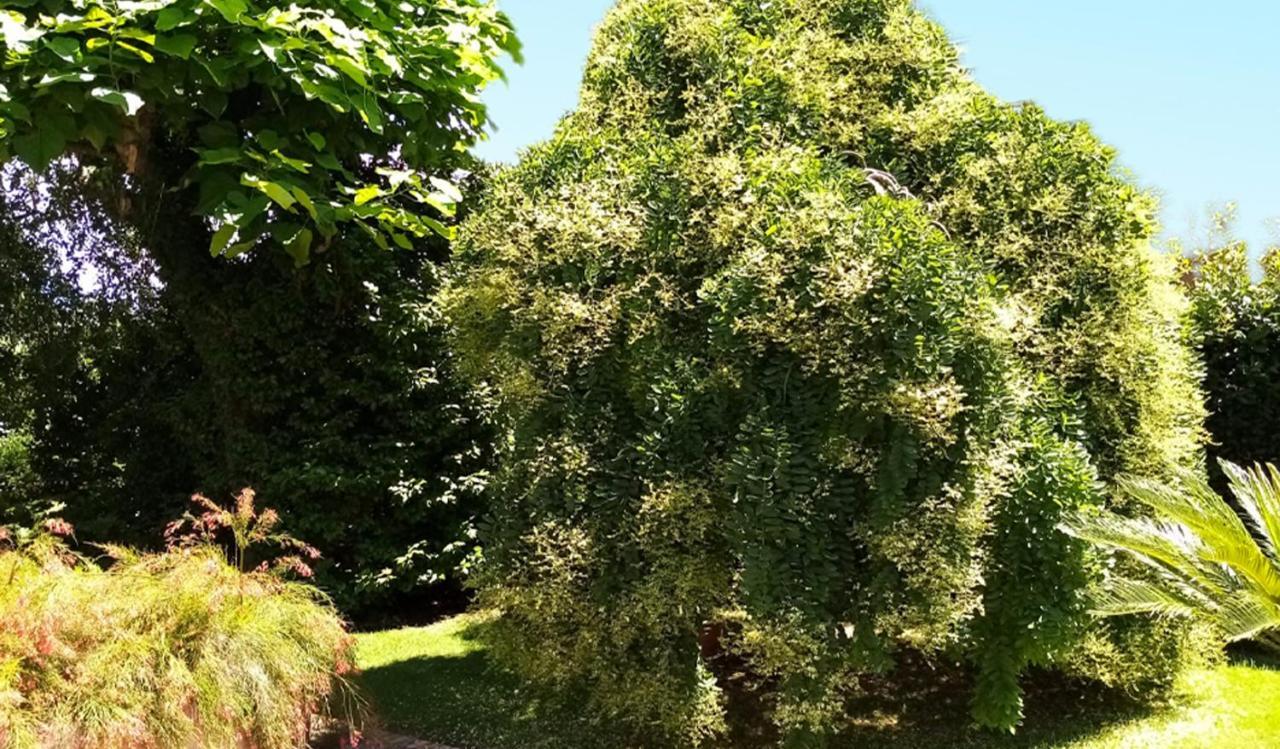Villa Laura Cisterna di Latina Zewnętrze zdjęcie